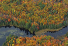 Aerial 2