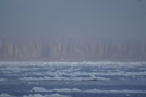 Arctic 02