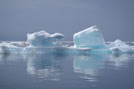 Arctic 06