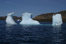 Arctic 09