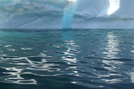 Arctic 11