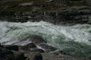 Arctic 31