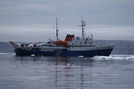 Arctic 36