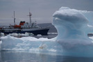 Arctic 37