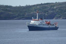 Arctic 40