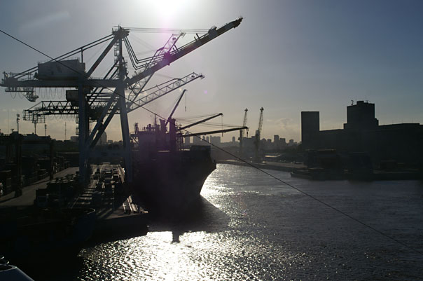 The Norwegian Crown & Port Activity