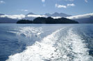 Puerto 8