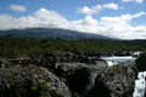 Puerto 14